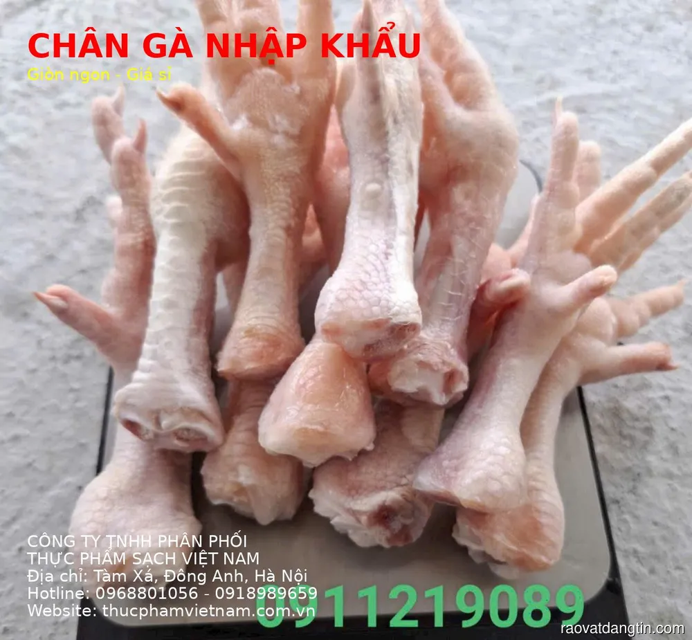 Chân Gà Nhập Khẩu Phù Hợp Chế Biến Mọi Món Ăn