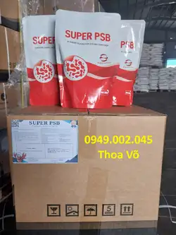 SUPER PSB RHODO – VI KHUẨN QUANG HỢP XỬ LÝ NƯỚC AO TÔM CÁ HIỆU QUẢ